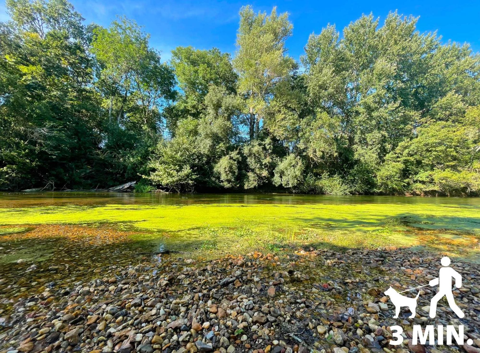 Gite Du Loiret Saint-Hilaire-Saint-Mesmin Dış mekan fotoğraf
